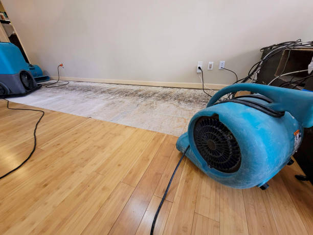 Professional Flood Damage Cleanup technician working in Munger, MI